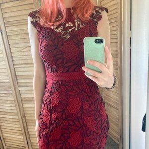 Lipsy Formal Lace Dress
